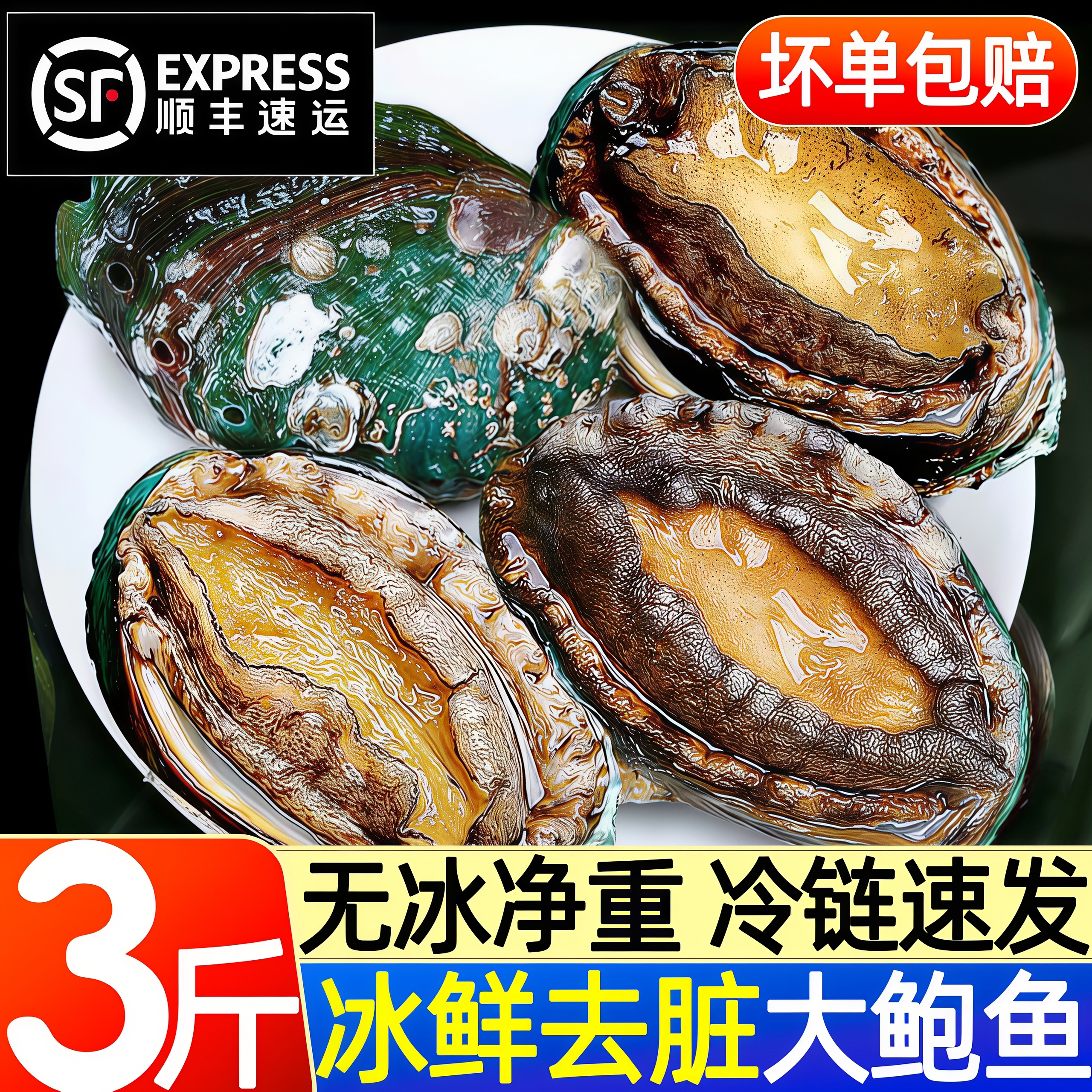 鲍鱼冷冻带壳去脏鲍鱼批发商用
