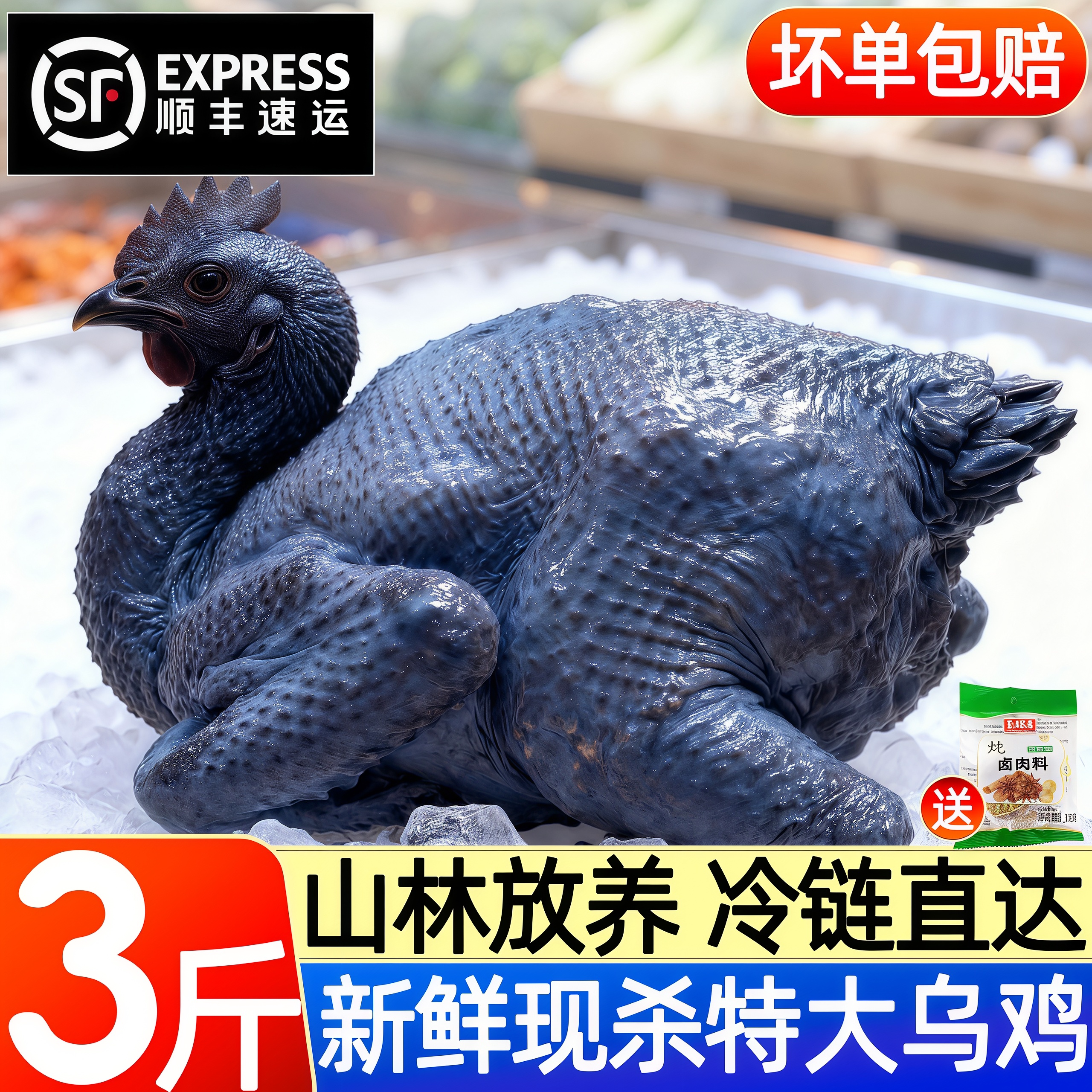 散养乌鸡现杀新鲜乌鸡土鸡顺丰