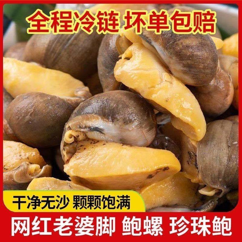 鲍鱼螺鲜活特大号老婆脚新鲜冷冻鲍螺老婆脚大号鲍鱼螺海鲜水产
