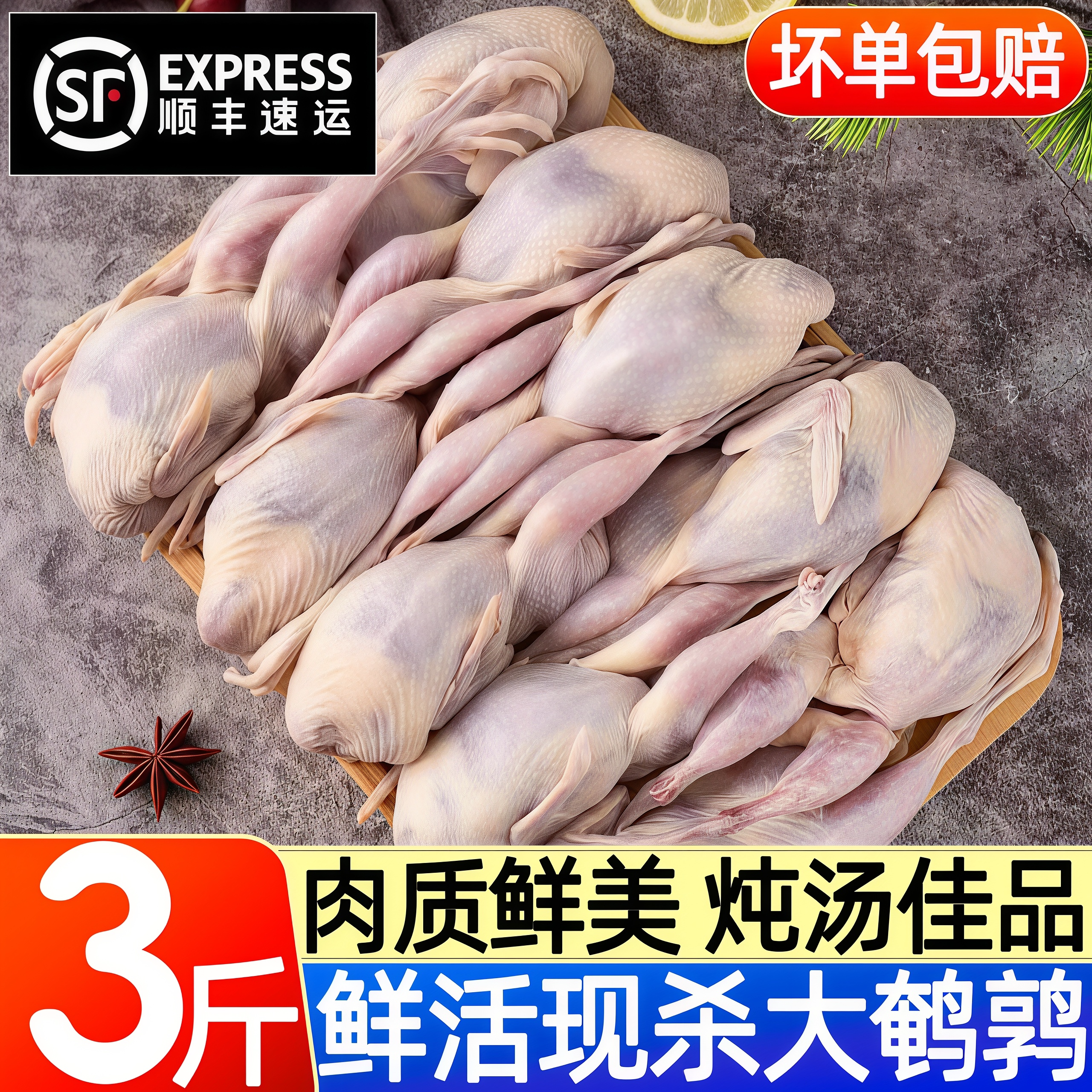 现杀散养大鹌鹑冷冻烧烤炖汤顺丰