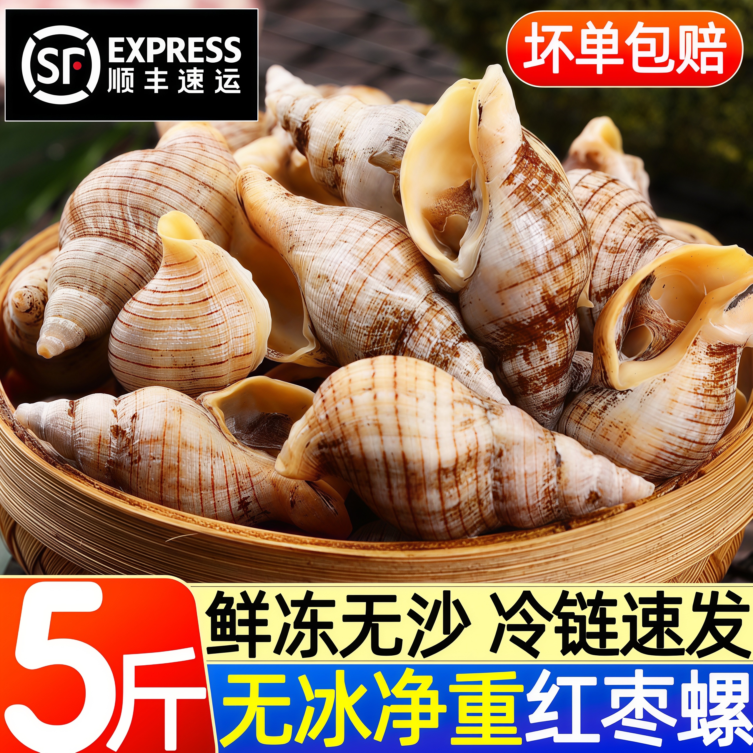 贝贝螺红枣螺白玉螺花螺小海螺丝海瓜子新鲜贝类酒店商用海鲜水产