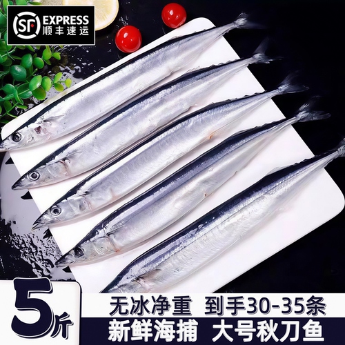 大号新鲜冷冻鲜活秋刀鱼商用顺丰