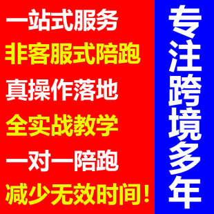 TK东南亚教学陪跑代运营一对一希音亚马逊TUME新手运营教学OZON