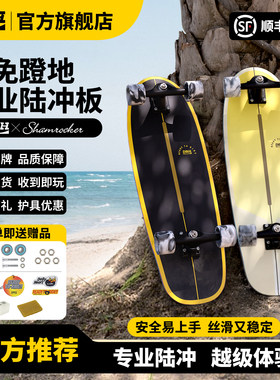 DBH陆冲板专业陆地冲浪板PU支架儿童成人男女生免蹬地滑板Eurus