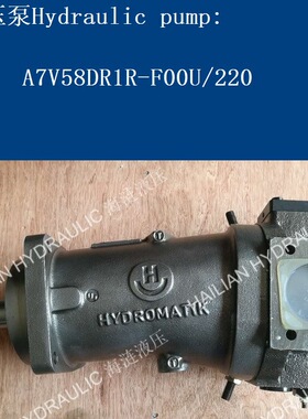 A7V58DR1R-F00U oil pump for ship船用液压油泵