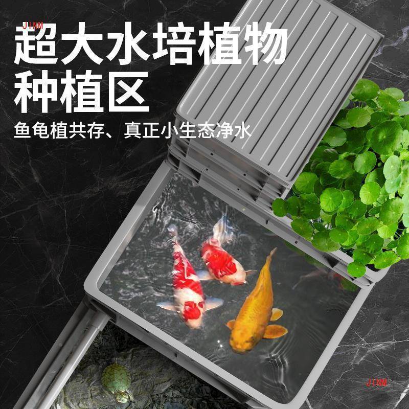 乌龟饲养缸周殖转箱养龟过滤加箱态缸厚鱼龟VRV养箱生家用混养缸