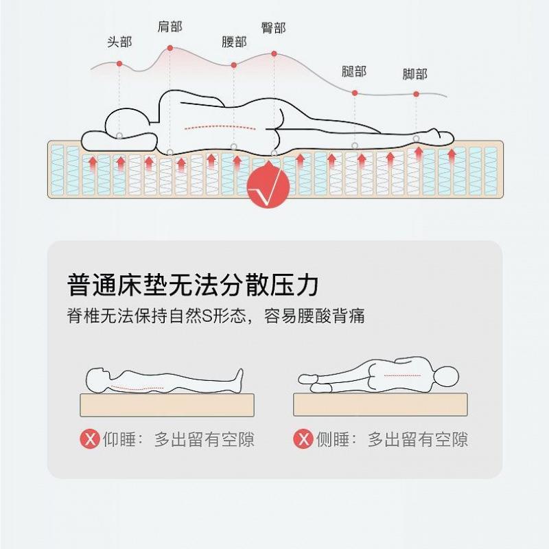 A榻类高回弹海绵加厚双人单人舍家用租房宿睡垫榻工米床FSY垫厂家