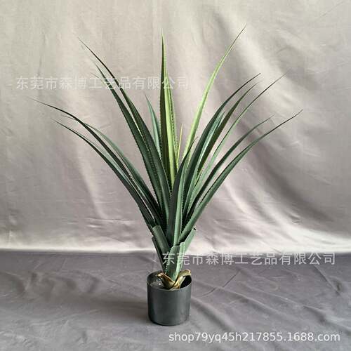 仿真热带盆绿植栽剑景麻剑兰植物沙漠多肉芦荟虎皮兰SB-JL-98地落