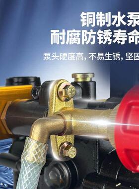 德国进口手提式电动试压泵DSY-25/60纯铜打压机水管道试压机双缸