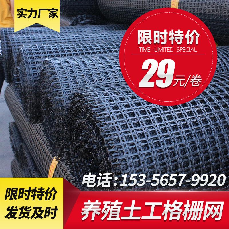 双向土工格栅网养殖网养鸡网安全防护网隔离围栏网塑料平网户外
