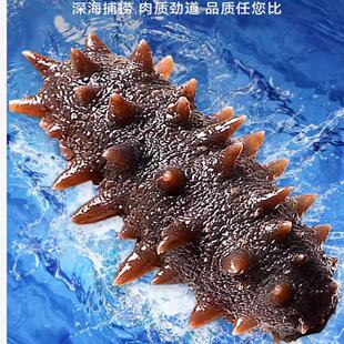 2斤/6斤即食海参开 袋即食大连海参鲜活辽参独立包装袋顺丰