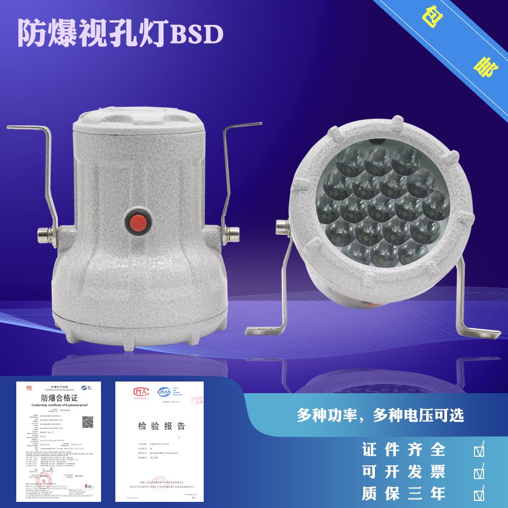 包邮防爆视孔灯5W防爆led视孔灯探照灯BSD-24v 220v12v反应视镜灯