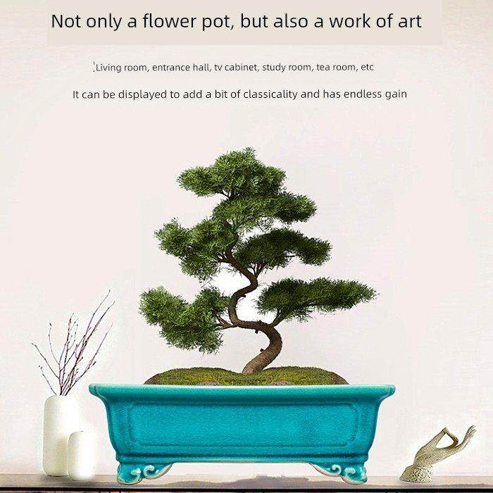 高端花盆陶瓷矩形盆景花盆紫砂穿孔古色古香中式阳台办公桌多肉花,鲜花速递/花卉仿真/绿植园艺,花盆,淘宝优惠券,粉丝福利购,淘宝优惠卷