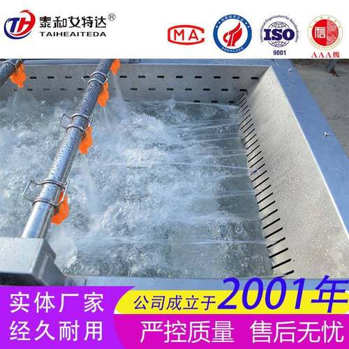 全自动水果蔬菜气泡清洗机 菌菇净菜清洗设备 小龙虾喷淋清洗机