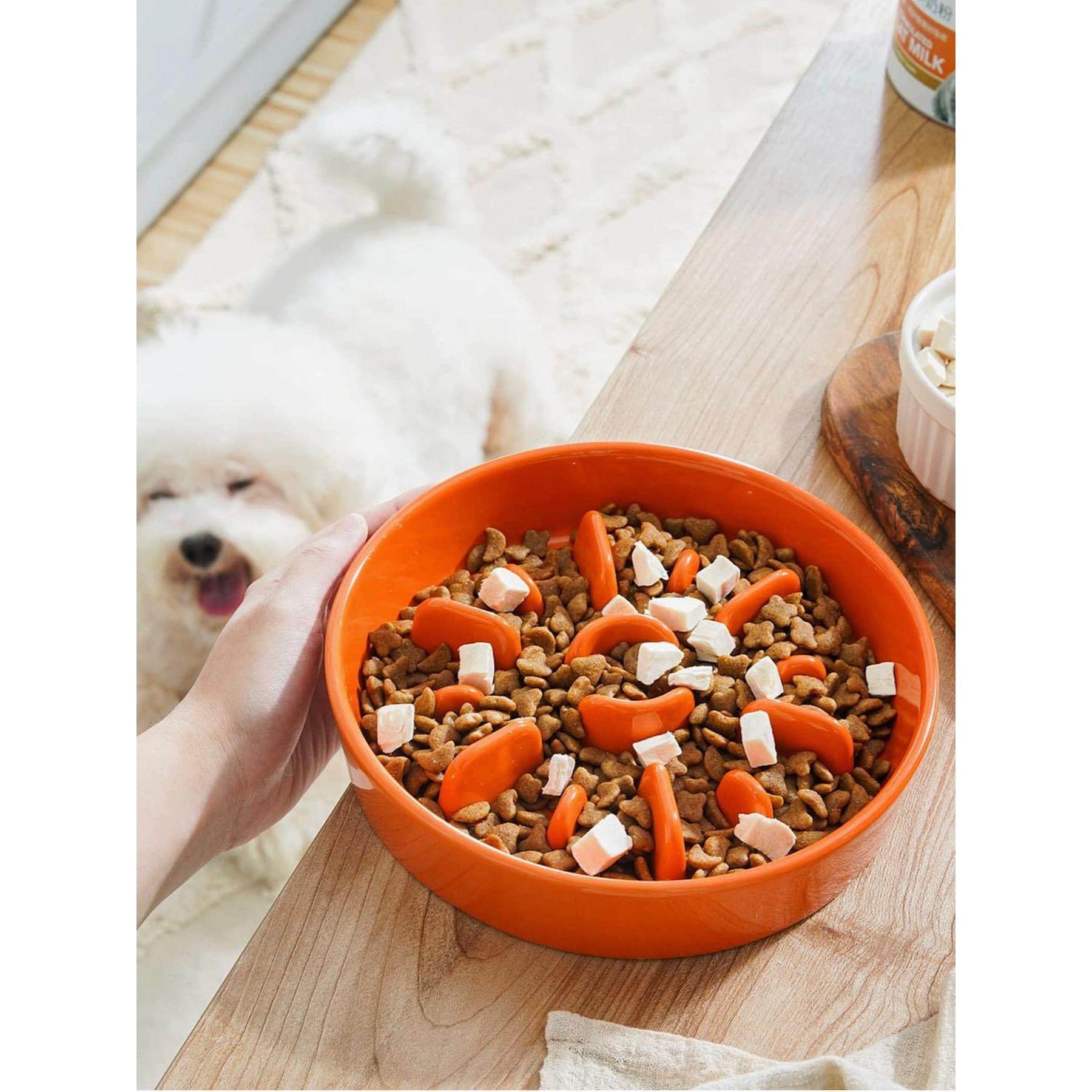 美国乐陶陶瓷慢食碗宠物猫狗食碗防呛，防磕碰，浓缩慢食狗食碗推