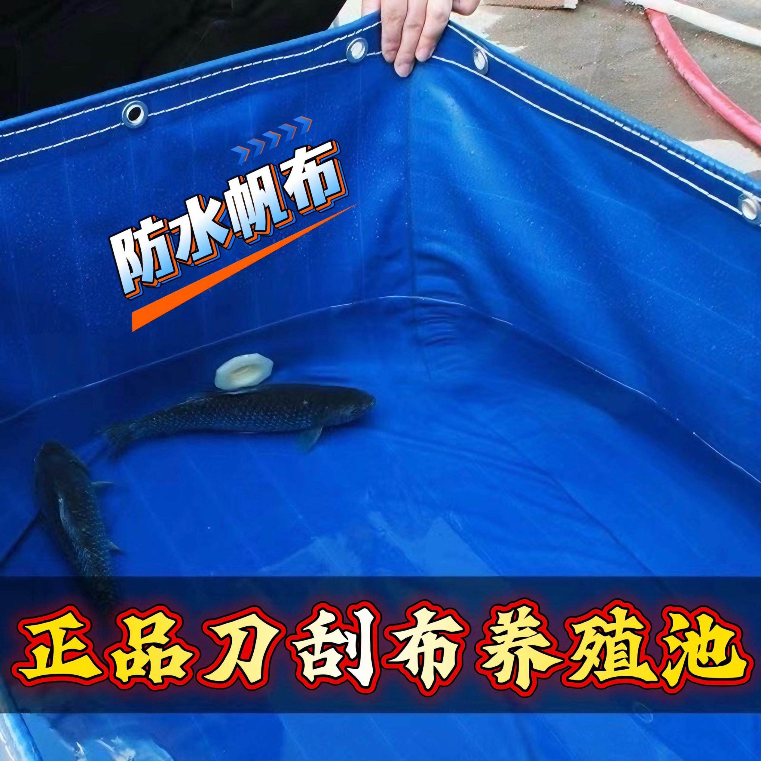 帆布水池鱼池游泳池水箱蓄水带支架水产养殖池刀刮布鱼池加厚耐磨,居家日用,防雨布,淘宝优惠券,粉丝福利购,淘宝优惠卷