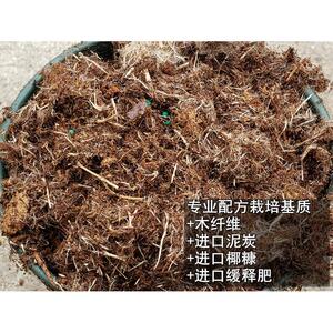 伟伟园艺苗圃专业配方栽培基质铁线莲月季绣球草花营养土泥炭椰糠