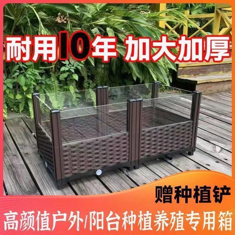 40款黄缘龟专用饲养箱陆龟半水龟缸生态造景箱 安缘台缘养殖箱子