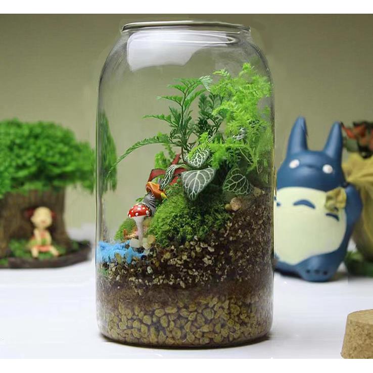 苔藓微景观造景玻璃瓶打孔木塞带灯生态瓶多肉植物容器发光许愿瓶