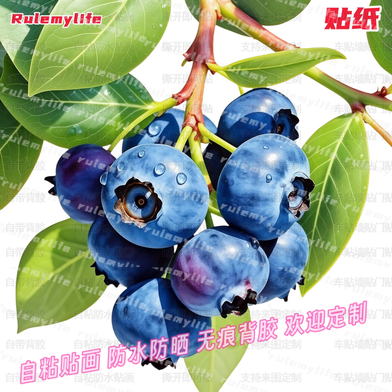 贴画蓝莓贴纸莓有烦恼仿真自贴玻