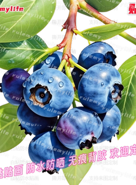 贴画蓝莓贴纸莓有烦恼仿真自贴玻