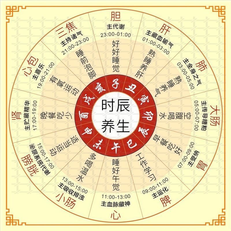 十二时辰养生表自粘贴画玄关背景