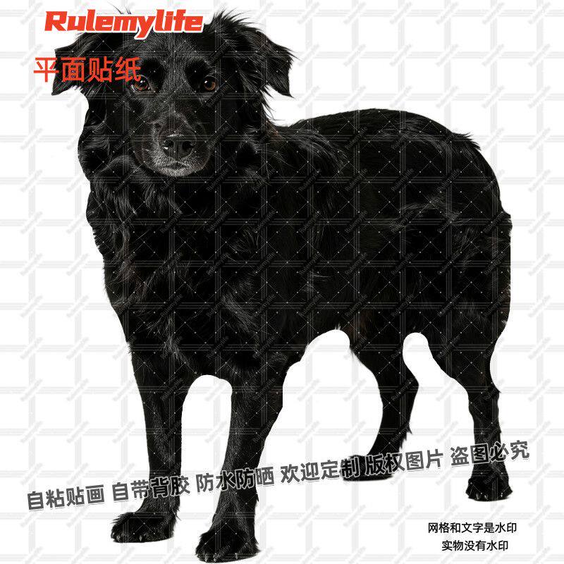黑色狗狗贴纸防水贴纸玻璃车贴黑