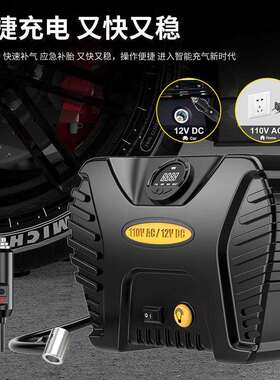 AC/DC汽车充气泵交流0-230V打气泵直流2V双电源气泵车载充气泵