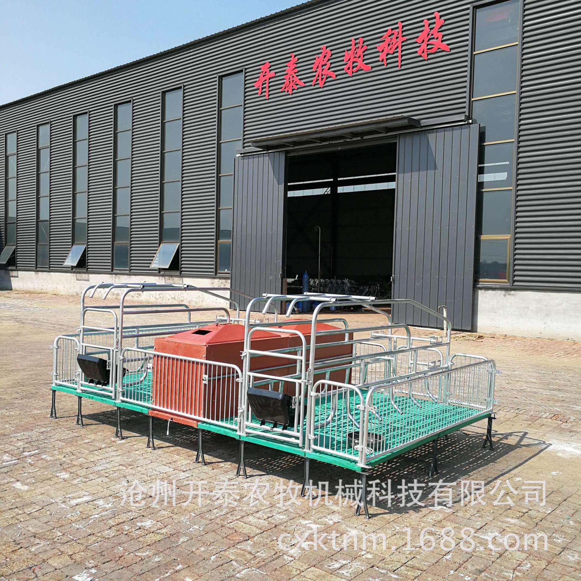 母猪产床厂家欧式复合板养殖BMC母猪分娩床现货双体连体母猪产床