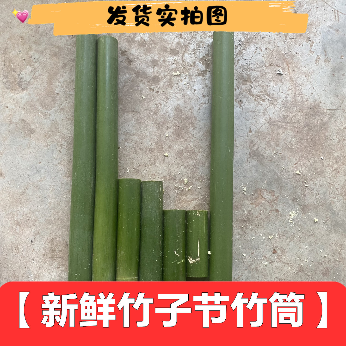 新鲜小竹竿竹筒竹节玩具材料装修造景蟋蟀动物宠物筒子敲击乐器邮