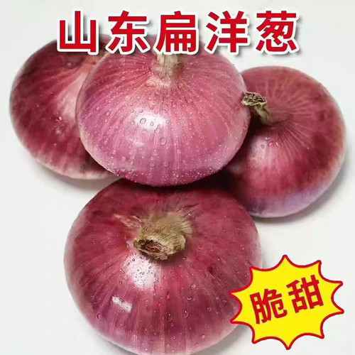 紫皮水果洋葱新鲜小洋葱甜味生吃蔬菜微辣微甜红皮大圆葱头