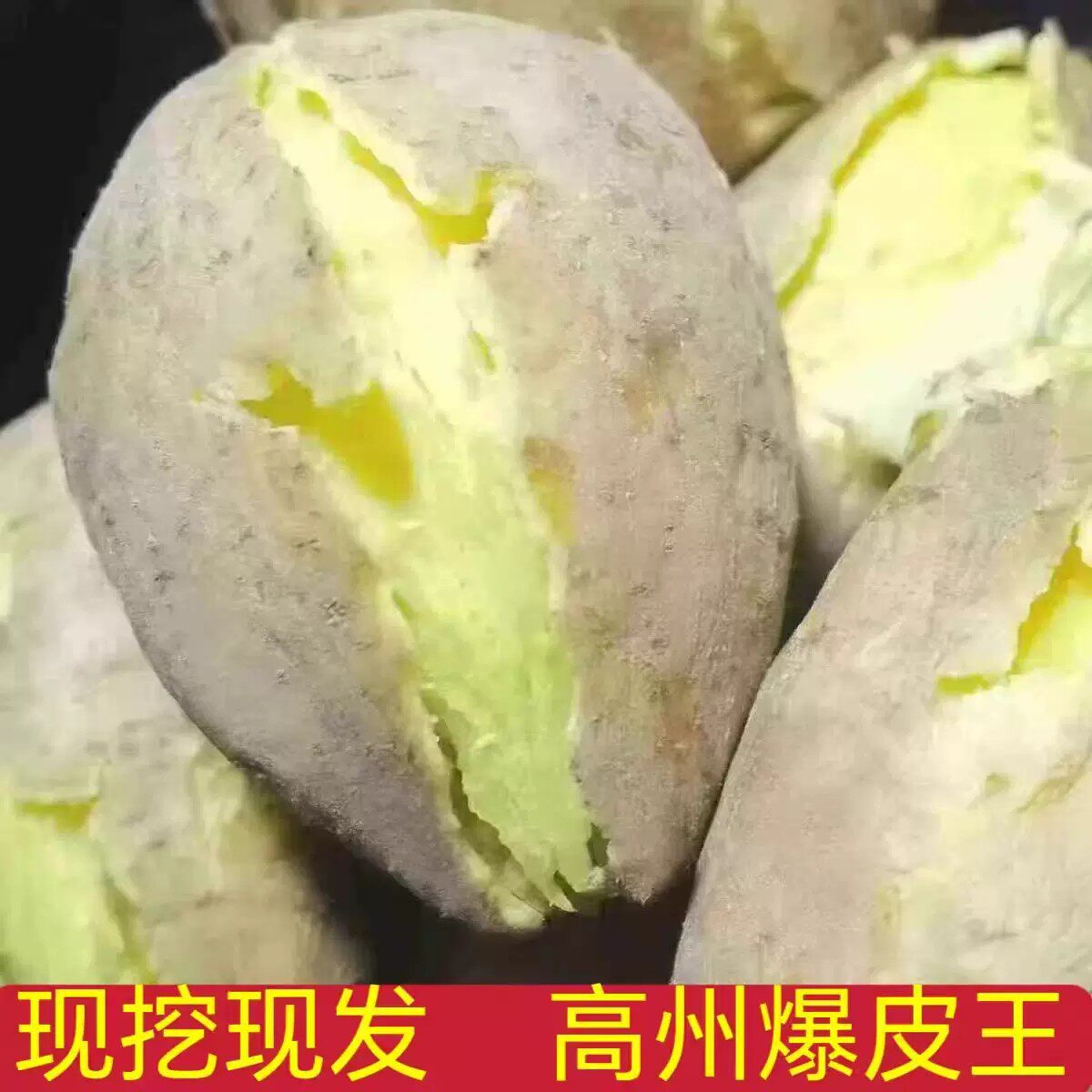 高州爆皮王番新鲜薯新鲜农家自种板栗薯茂名大番薯白红薯地瓜