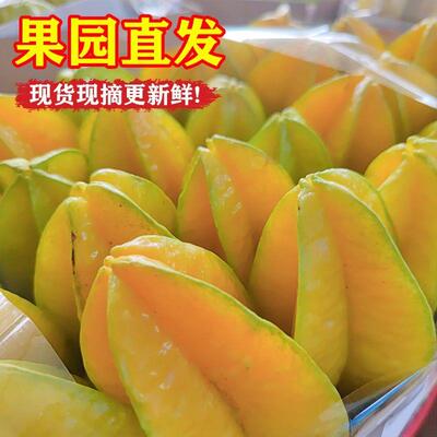 杨桃水果包邮新鲜5斤福建下河树上熟大甜红洋阳扬桃整箱包邮