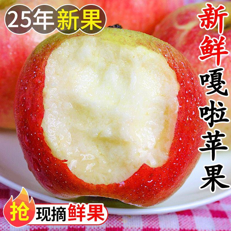 嘎啦苹果新鲜应当季水果青香甜冰糖心丑平果非红富士整箱包邮