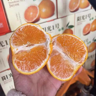 甜桔柚阳光一号甜柚现摘现发老树柚高山甜心柚手剥柚礼盒包邮