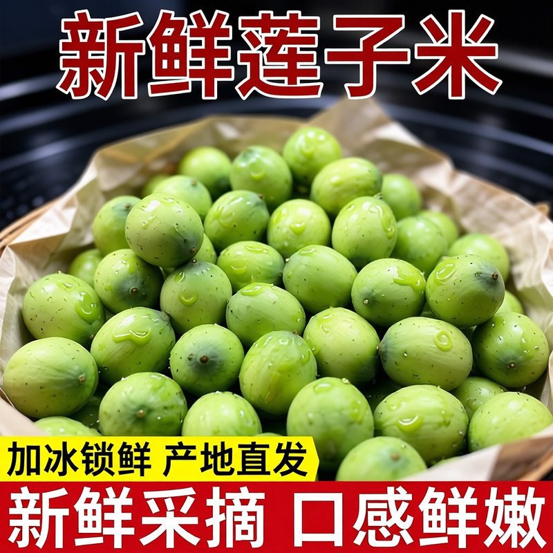 顺丰包邮新鲜嫩莲子余 嫩莲蓬2026生吃嫩甜孕妇