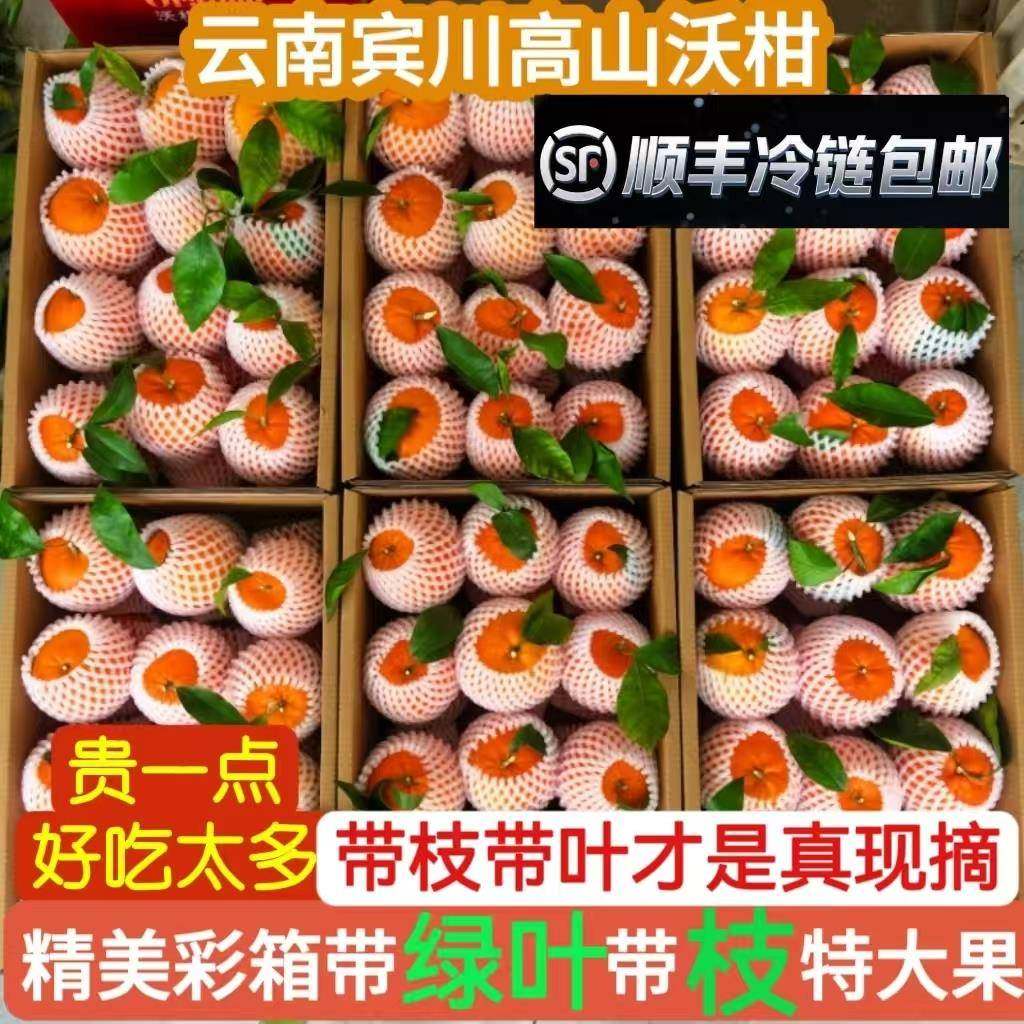 顺丰冷链彩箱云南宾川沃柑高山带叶带枝现摘新鲜水果桔子橘子包邮,水产肉类/新鲜蔬果/熟食,桔子,淘宝优惠券,粉丝福利购,淘宝优惠卷