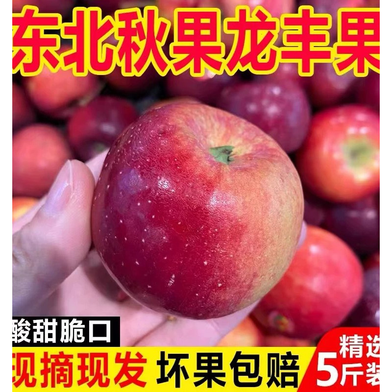 东北特产龙丰果大秋果小苹果当季新鲜水果海棠果沙果整箱5斤包邮图片