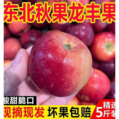 东北特产龙丰果大秋果小苹果当季新鲜水果海棠果沙果整箱5斤包邮