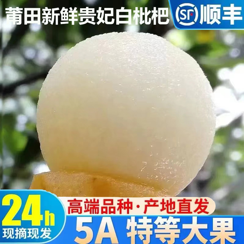 清甜莆田白玉甜枇杷5斤现摘新鲜三月白孕妇白梨琵琶应季水果