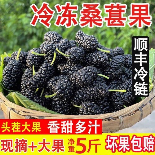 2026新鲜冷冻桑葚无沙孕妇水果新鲜黑桑酵素桑椹干5斤顺丰包邮