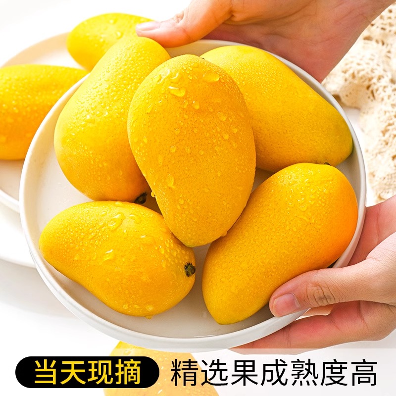 海南小台农芒果4.5/8斤新鲜现摘小台芒当季整箱甜鸡蛋芒应季水果