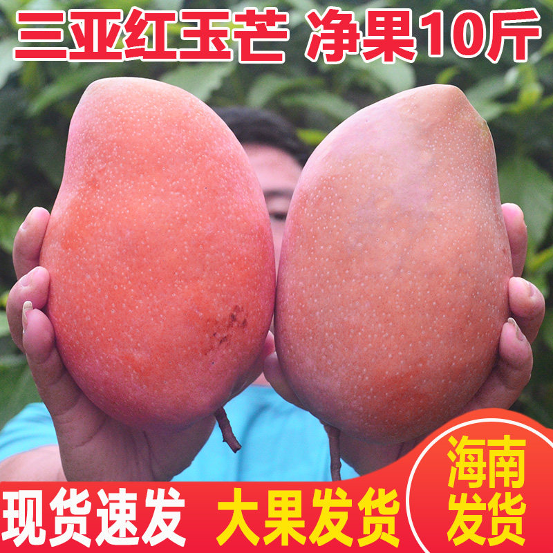 海南红玉芒果三亚芒果新鲜大果玉文芒当季水果8斤礼盒装