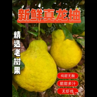【纯甜】四川泸州合江特产真龙柚新鲜水果纯甜柚子非沙田柚子包邮