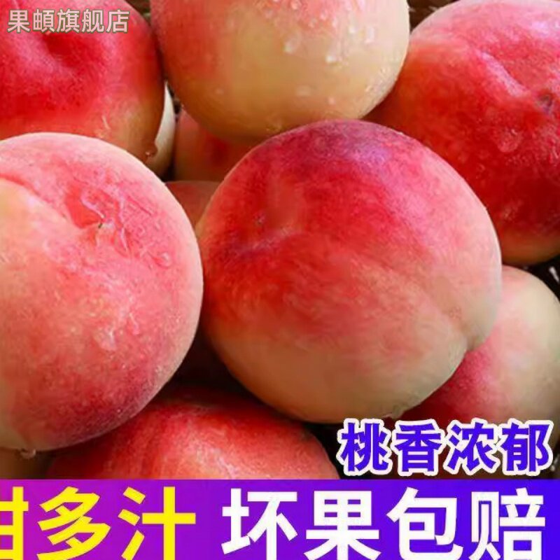 现摘脆桃子新鲜水果水蜜桃当季桃子孕妇脆甜毛桃时令大果整箱