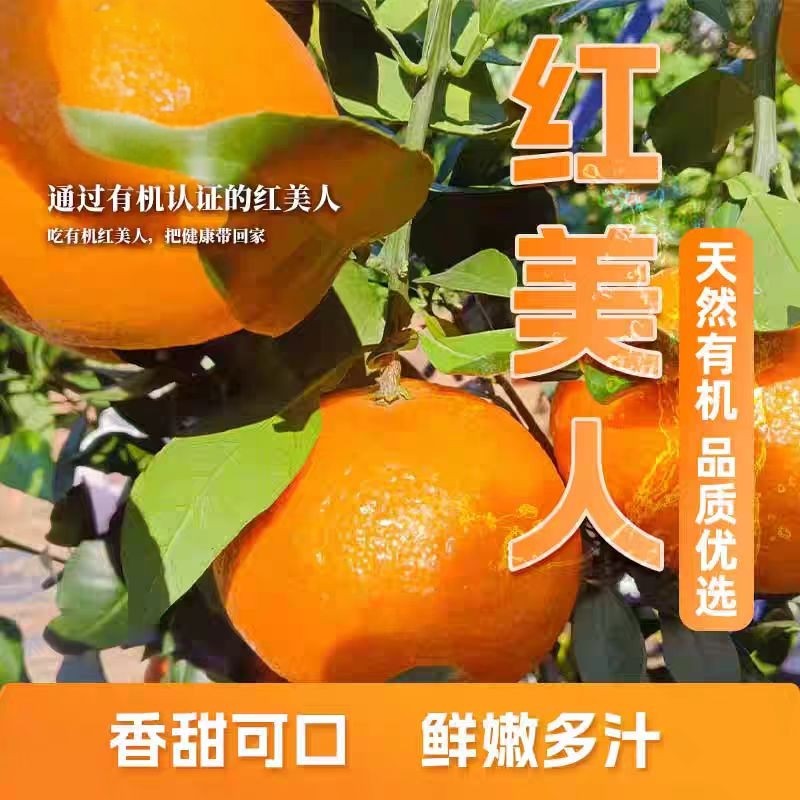 正宗红美柑橘当季新鲜水果桔子爱媛28号果冻橙子红美人来自象山,水产肉类/新鲜蔬果/熟食,芒果,淘宝优惠券,粉丝福利购,淘宝优惠卷