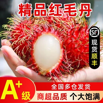 顺丰包邮红毛丹 海南保亭7号新鲜水果毛荔枝孕妇水果礼盒果园直发