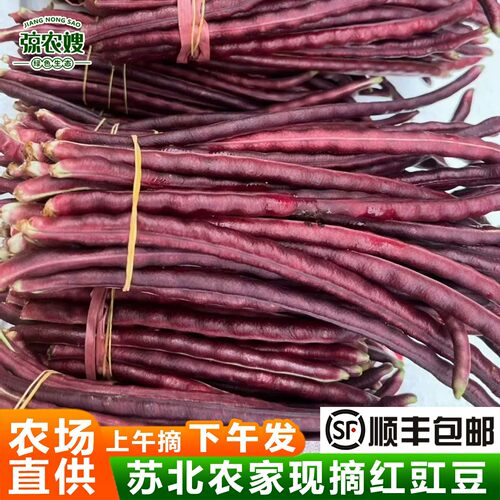苏北农家现摘蔬菜新鲜红豆角红豇豆长豇豆紫豇豆乌豆角子紫豆角