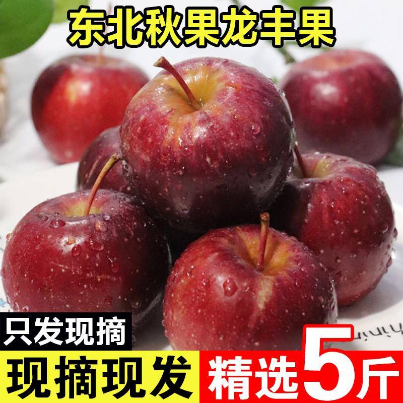 东北特产龙丰果大秋果孕妇应季小苹果新鲜当季5斤整箱包邮非沙果图片