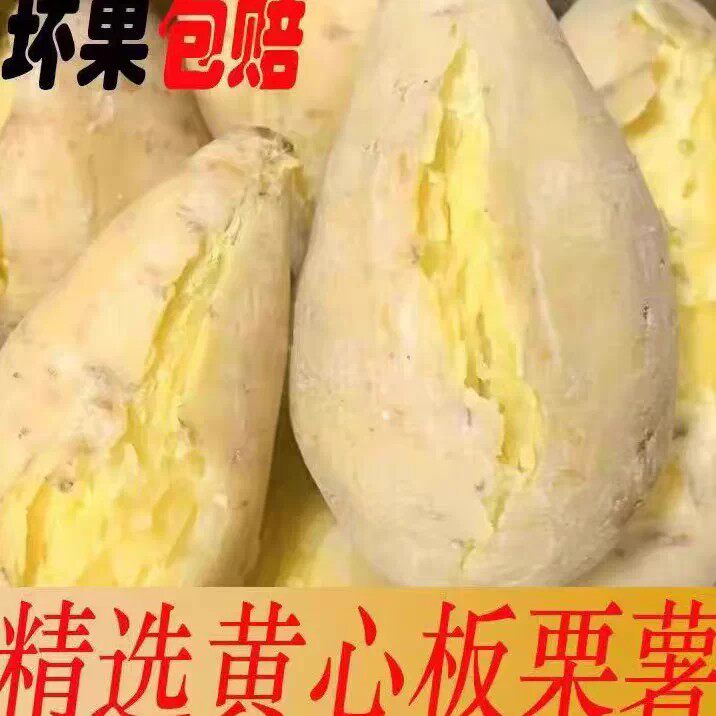 高州爆皮王番新鲜薯新鲜农家自种板栗薯茂名大番薯白红薯地瓜